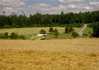 Claas Drescher 11